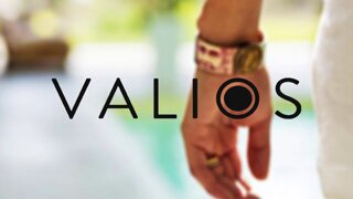 Valios Commercio elettronico